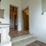 Pellegrini Cipolla *