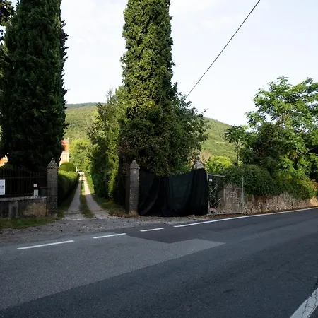 Pellegrini Cipolla